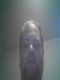 Member Picture